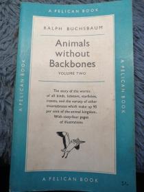 Animals without Backbones:VOLUME TWO by Ralph buchsbaum 大量插图 PELICAN 鹈鹕经典系列 18X11CM  编号0212