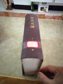 世界史纲-生物和人类的简明史