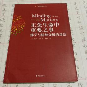 正念生命中重要之事：佛学与精神分析的对话