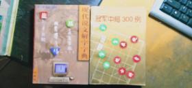 象棋基础丛书：冠军中局300例