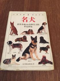 名犬：全世界300多种名犬的彩色图鉴