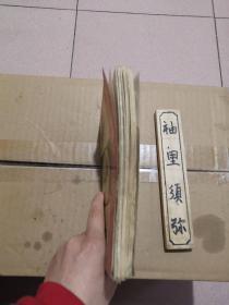 中国蟋蟀养斗技巧大全