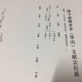 陆丰南塘蔡氏族谱资料，华山文献公衍生派