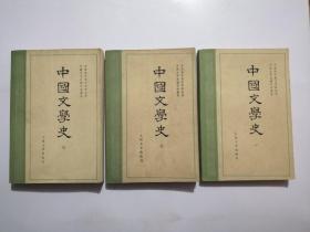 中国文学史（1—3册）