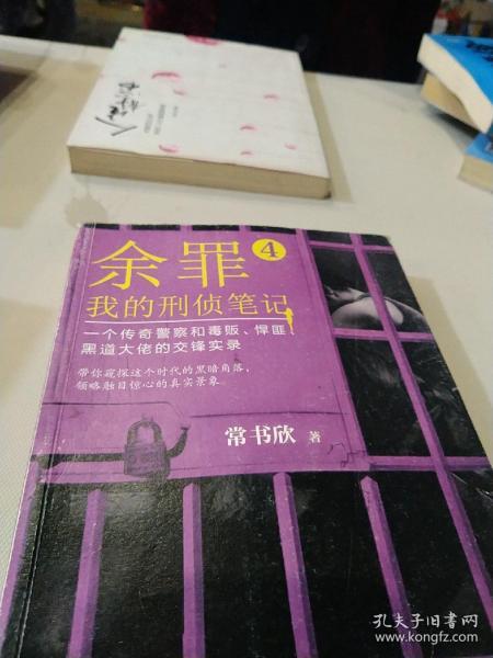 余罪4：我的刑侦笔记