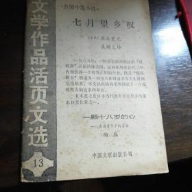 R<文学作品活页文选》13