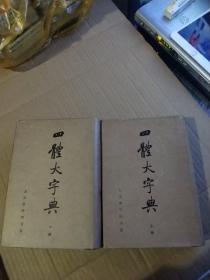 正版 四体大字典（精装上下册）