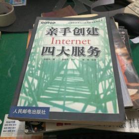 亲手创建INTERNET四大服务:计算机技术入门提高精通系列丛书大16开233页