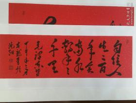 中书协会员、国家一级演员杨春龙书法《自信人生三百年》力作