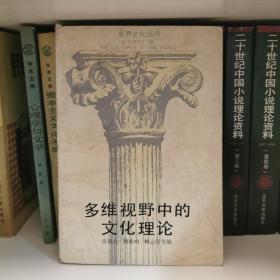 多维视野中的文化理论