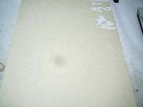 自在知在  宋述林彩墨作品