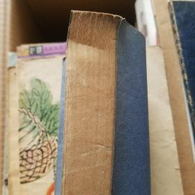 传染病预防工作指南