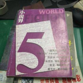《小说界》杂志2004年5我为什么写作?上海80后作家群接受本刊专访，几乎被拯救，谁杀死了五月，电影和生活，简单美国梦大16开192页