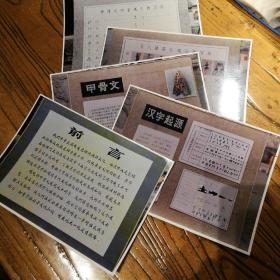 纪念甲骨文发现90周年展览   现场拍摄照片5张（有前言、汉字起源、甲骨文、与人体部位组合的字形、甲骨文中表现人的文字）   难得珍贵影像档案资料