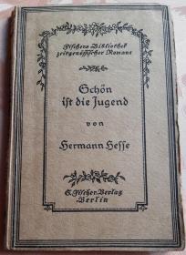 Schön ist die Jugend 美丽的青春  【花体德文】
