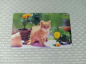 卡片352 日本早期电话卡 磁卡 NTT  105度数 猫 淘气猫