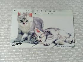 卡片358 日本早期电话卡 磁卡 NTT  105度数 猫 我的生活我任性