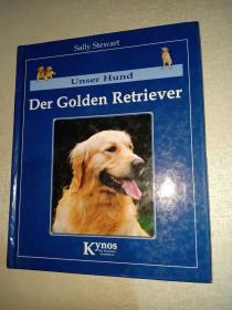 Unser Hund Der Golden Retriever