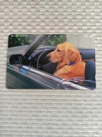 卡片375 日本早期电话卡 磁卡 NTT卡  105 331-447 狗 犬 宠物犬 豪车名犬