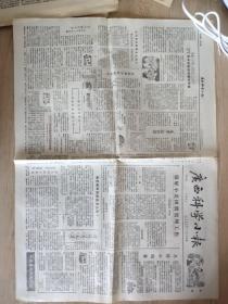 广西科学小报1964年12月20日  旬刊【做好小麦田间管理工作】