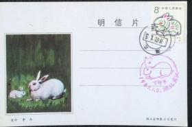 丁卯年兔首日戳明信片
