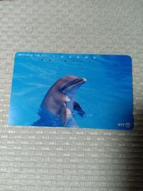 卡片350 日本早期电话卡 磁卡 NTT  105度数 海豚 人类的朋友