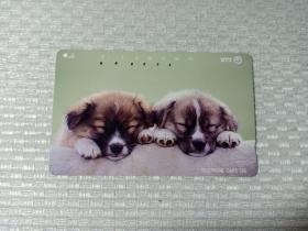 卡片362 日本早期电话卡 磁卡 NTT 105度数 狗 熟睡中的小狗 1994.8.1