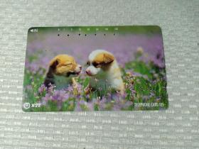 卡片365 日本早期电话卡 磁卡 NTT 105度数 狗 温柔的时刻