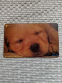 卡片370 日本早期电话卡 磁卡 NTT卡  105 231-233 狗 犬  甜美的梦