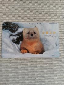 卡片376 日本早期电话卡 磁卡 NTT卡  105 431-820 小春日和 狗 犬 宠物犬 北方的大地