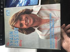 the SHAUN CASSIDY STORY BY MAGGI RUSSELL