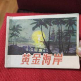 黄金海岸。