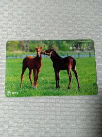 卡片347 日本早期电话卡 磁卡 NTT  105度数  马  生肖马 寓意马到成功