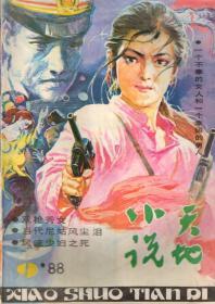 小说天地1988年第9期.总第76期