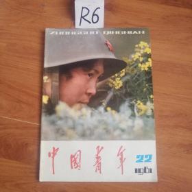 中国青年1981   22