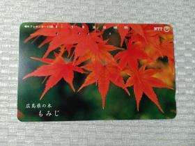 日本磁卡72 NTT卡 品名105 351-217 日本电话卡 枫叶