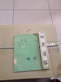 蚕豆