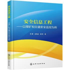 安全信息工程:以煤矿和交通安全监控为例