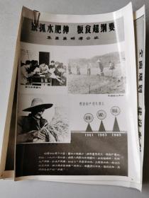 1964东至县昭潭公社《狠抓水肥种，粮食超纲要》宣传照片一套三种