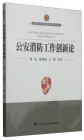 公安工作创新理论研究丛书：公安消防工作创新论