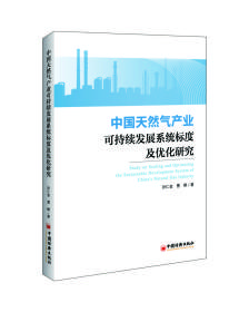 中国天然气产业可持续发展系统标度及优化研究