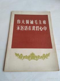 伟大领袖毛主席 永远活在我们心中   四川新闻照片特刊