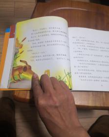 金波小树叶故事图画书【孩子们最喜爱的名家故事图画书】