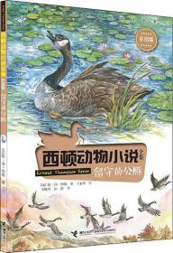 西顿动物小说全集：留守的公雁【彩绘】