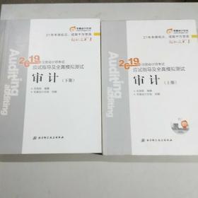 注会会计职称2019教材辅导东奥2019年轻松过关一《2019年注册会计师考试应试指导及全真模拟测试》审计（上下册）