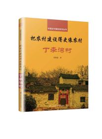中国乡村建设系列丛书：把农村建设的更像农村·丁李湾村