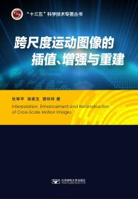 跨尺度运动图像的插值、增强与重建