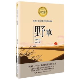 新书--统编小学语文教科书同步阅读书系:野草(六年级)