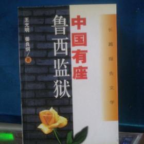 中国有座鲁西监狱:长篇报告文学