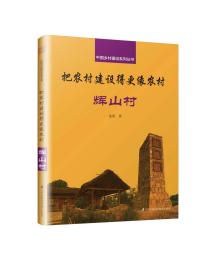 把农村建设得更像农村辉山村